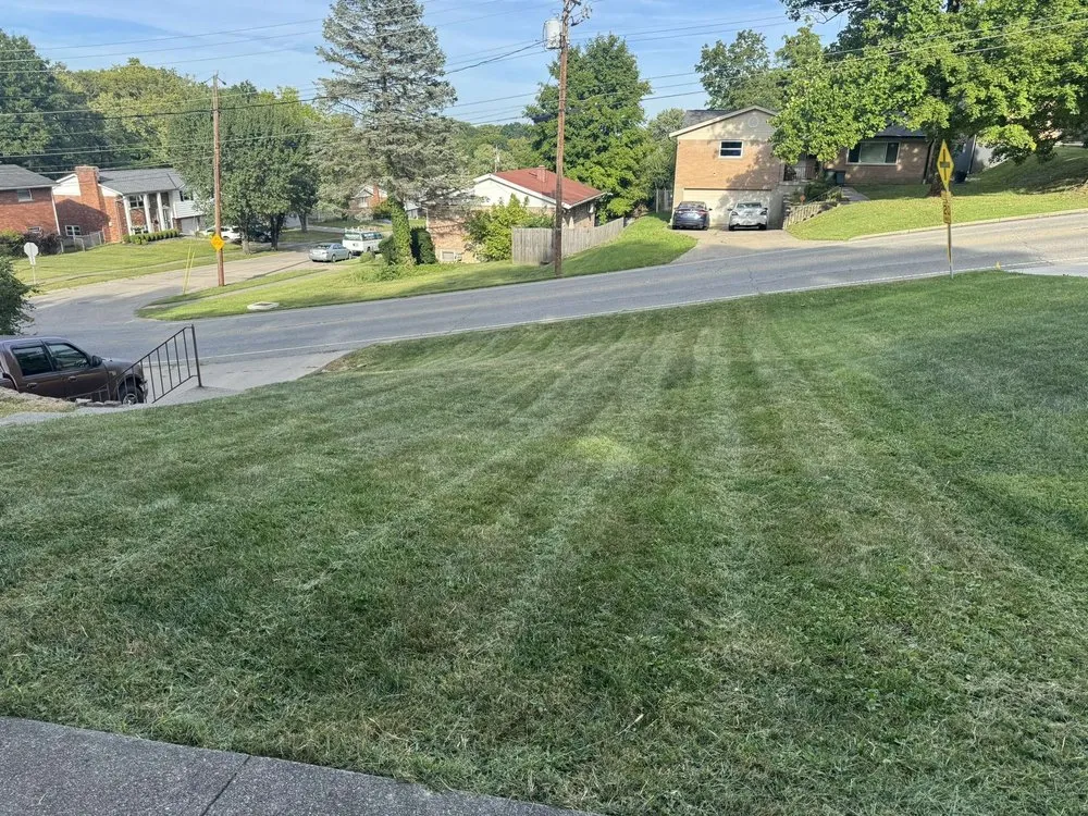Professional lawn mowing service with custom design across Cincinnati, OH - Evergreen Lawn