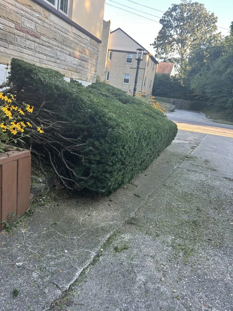 Local residential landscaping for year-round maintenance across Cincinnati, OH - Evergreen Lawn