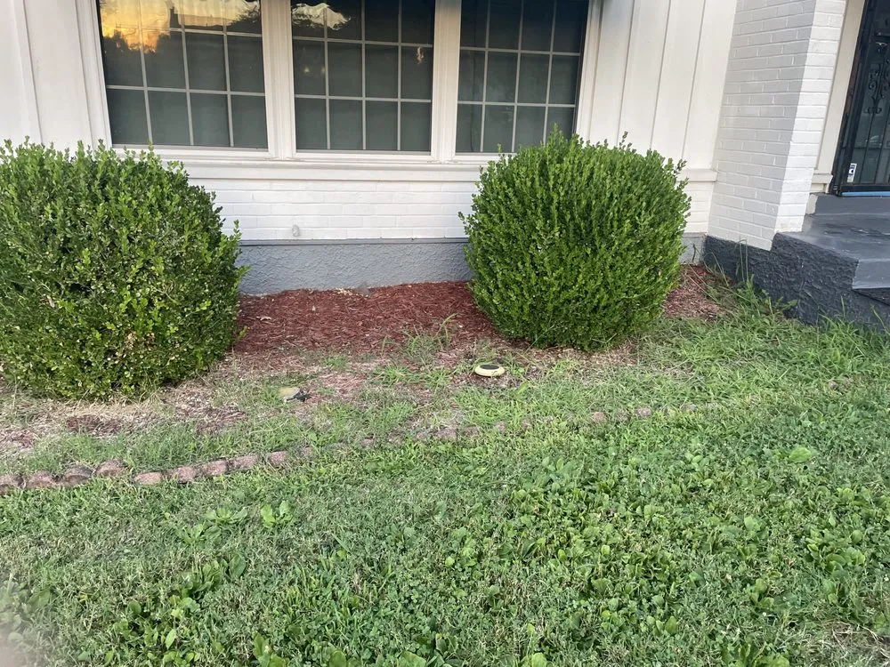 Affordable lawn mowing service for homes in Cincinnati, OH by Evergreen Lawn