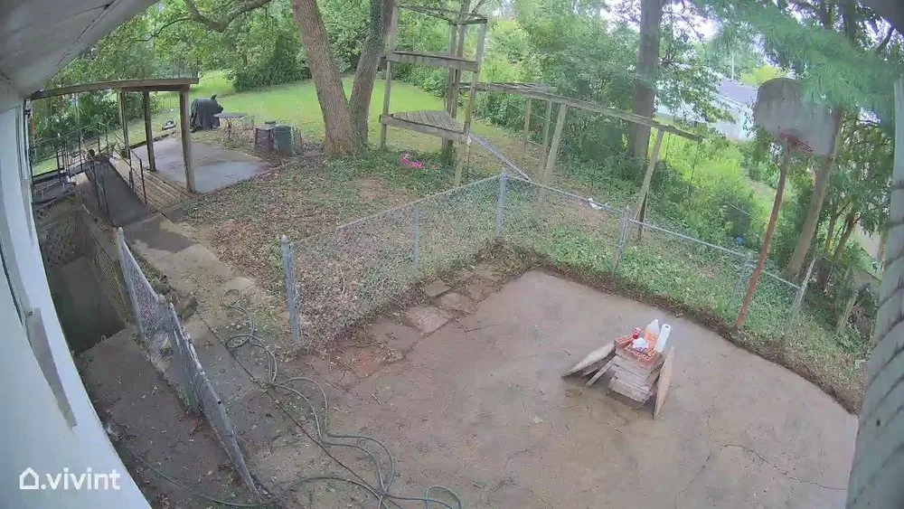 Reliable yard maintenance for homes across Cincinnati, OH - Evergreen Lawn