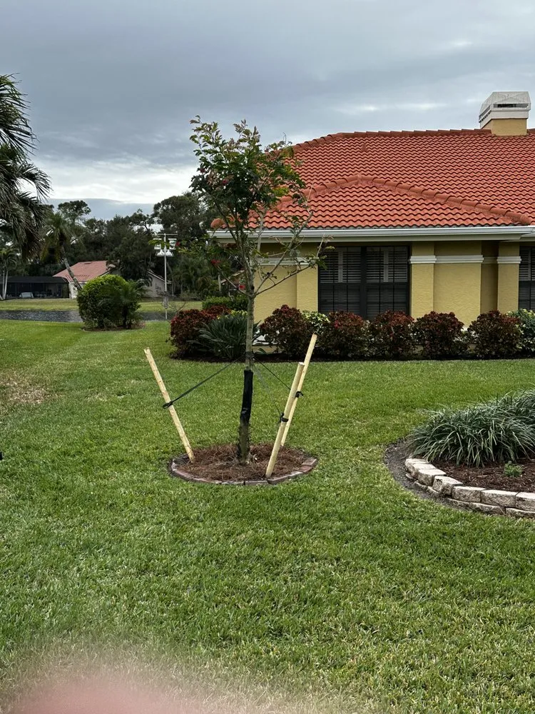 Reliable yard maintenance experts serving Naples, FL - Evergreen Lawn
