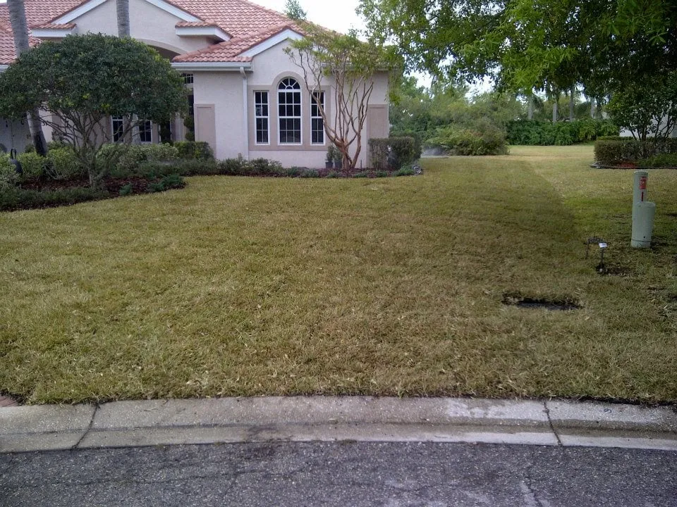 Local yard maintenance near you across Bradenton, FL - Evergreen Lawn Service