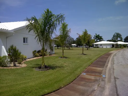 Evergreen Lawn Service Logo