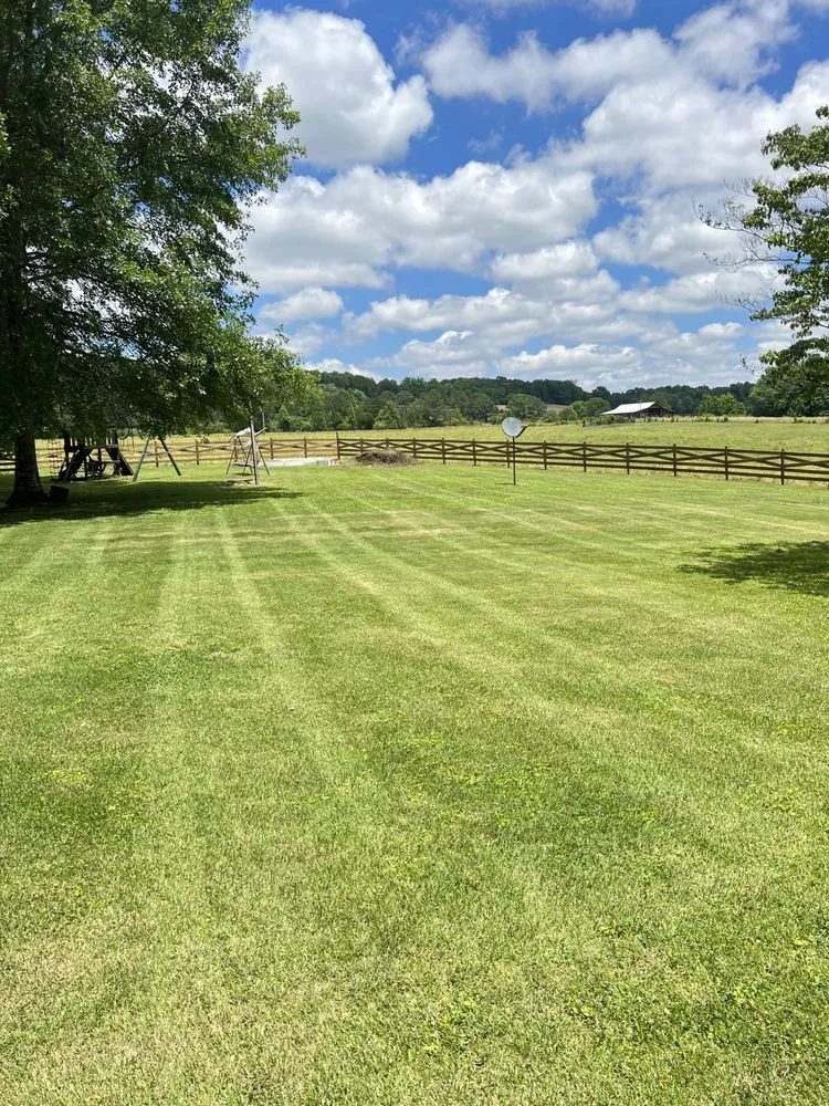 Top-rated lawn care service for residential properties in Cullman, AL by Evergreen Lawn Service