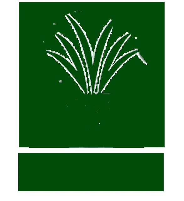 Top-rated landscape design experts serving Duluth, MN - Evergreen Lawn Services of Duluth