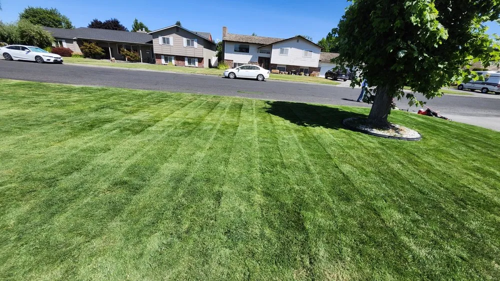 Reliable yard cleanup service in Othello, WA - Evergreen Lawn Services