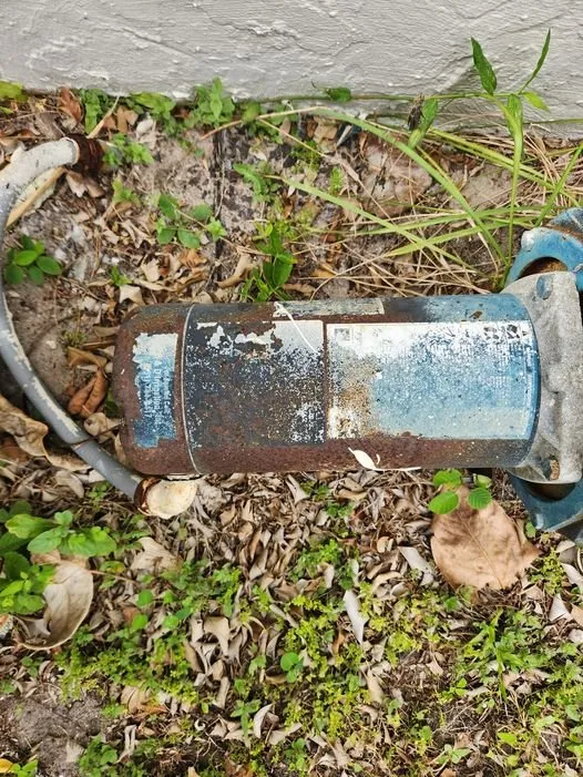 Top-rated landscape installation in Stuart, FL by Evergreen Lawncare and Maintenance