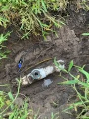 Reliable yard maintenance for homes in Stuart, FL by Evergreen Lawncare and Maintenance