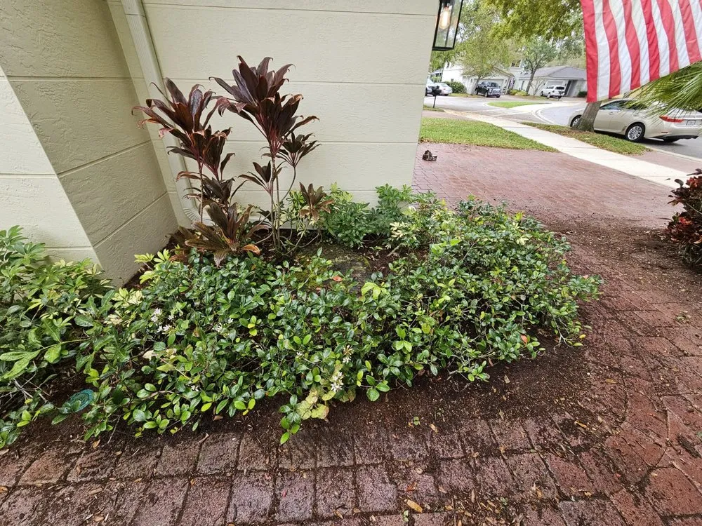 Trusted lawn mowing service in Stuart, FL by Evergreen Lawncare and Maintenance