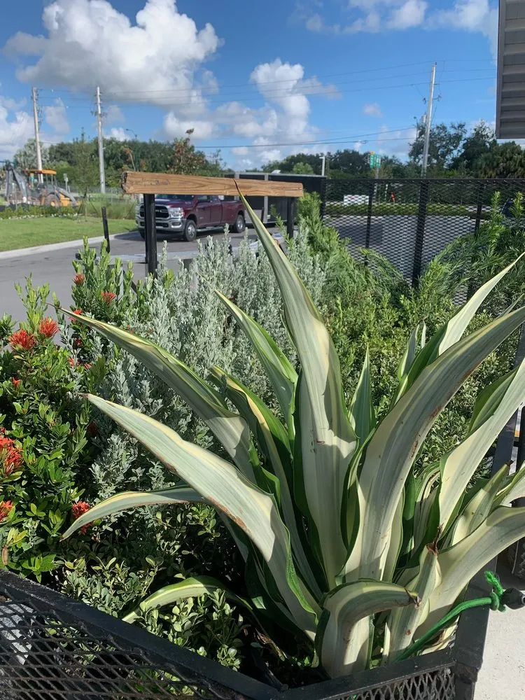 Expert outdoor landscaping experts serving Stuart, FL - Evergreen Lawncare and Maintenance