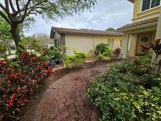 Evergreen Lawncare and Maintenance