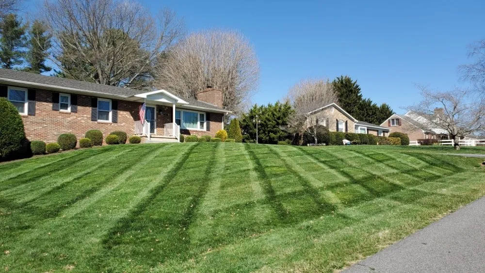Reliable lawn mowing service experts serving Dobson, NC - Evergreen Lawncare