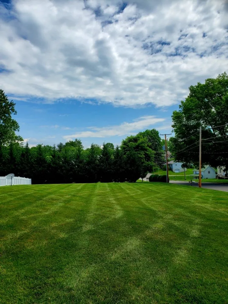 Expert yard cleanup service in Dobson, NC by Evergreen Lawncare
