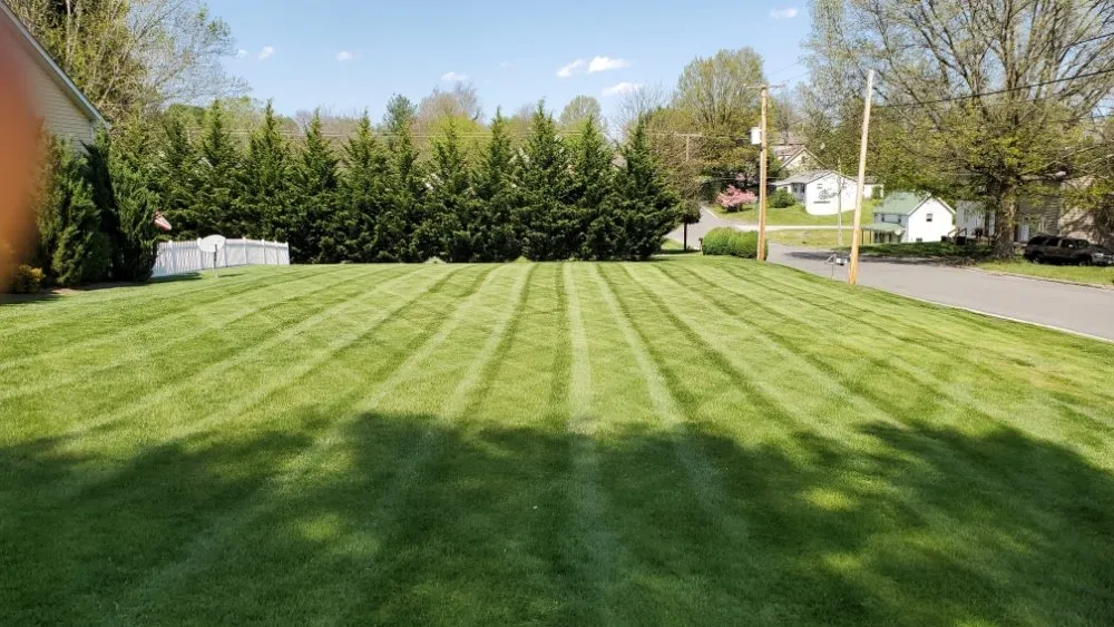 Affordable garden landscaping in Dobson, NC - Evergreen Lawncare