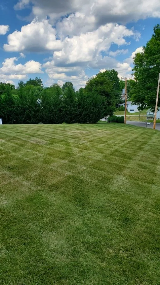 Reliable yard cleanup service for residential properties across Dobson, NC - Evergreen Lawncare