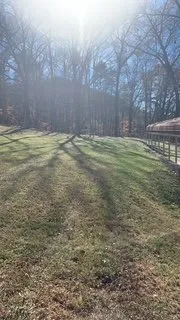 Affordable yard maintenance in Pulaski, VA by Evergreen Lawncare