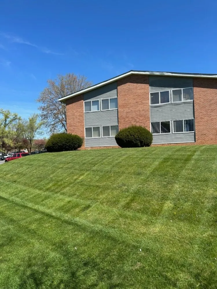 Trusted yard cleanup service experts serving Winchester, VA - Evergreen Lawncare Services