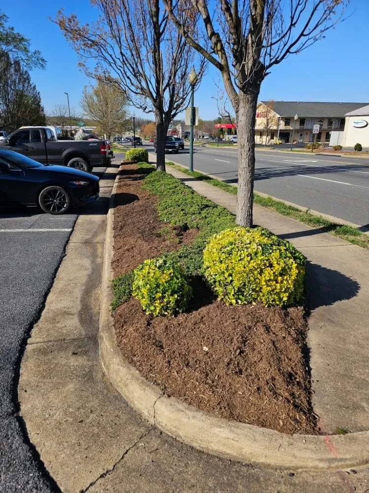 Affordable landscaping services experts serving Winchester, VA - Evergreen Lawncare Services