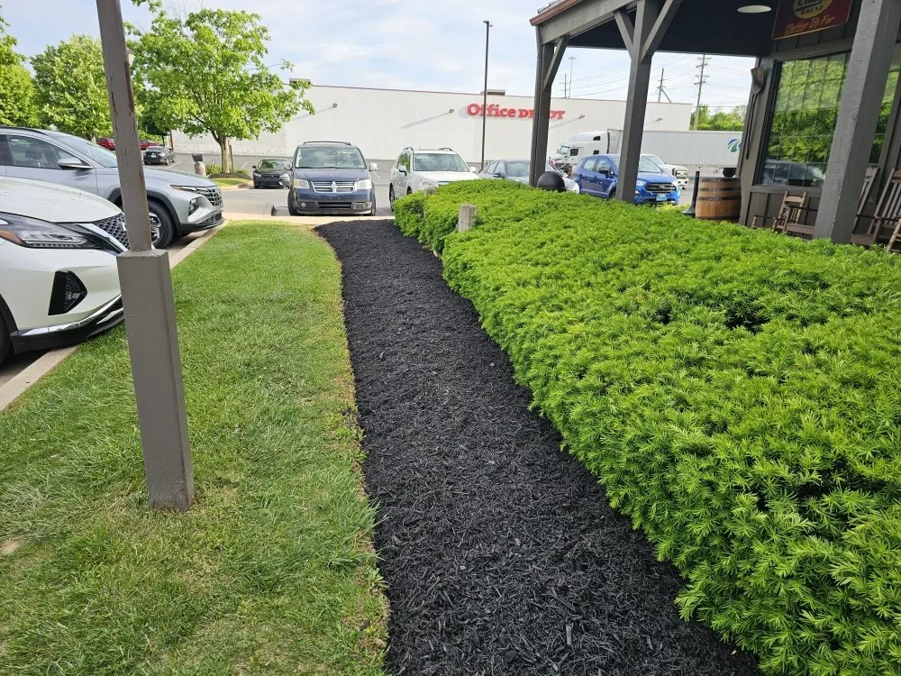 Affordable residential landscaping near you in Winchester, VA by Evergreen Lawncare Services