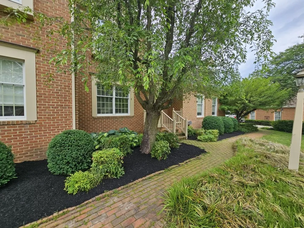 Top-rated garden landscaping in Winchester, VA by Evergreen Lawncare Services