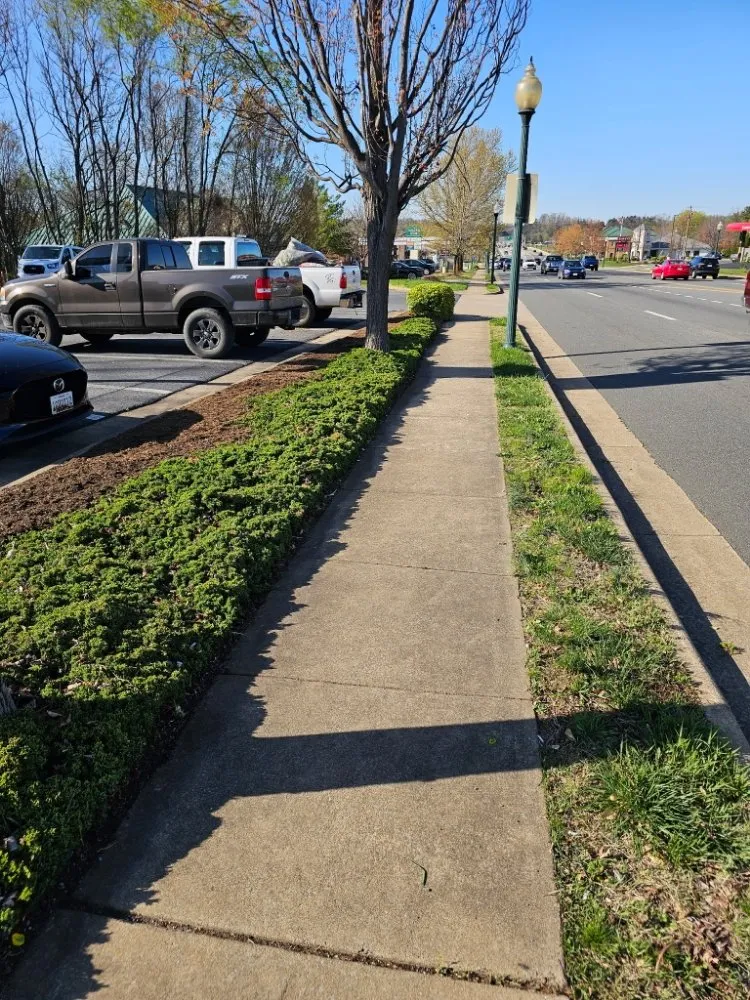 Trusted landscape design in Winchester, VA - Evergreen Lawncare Services