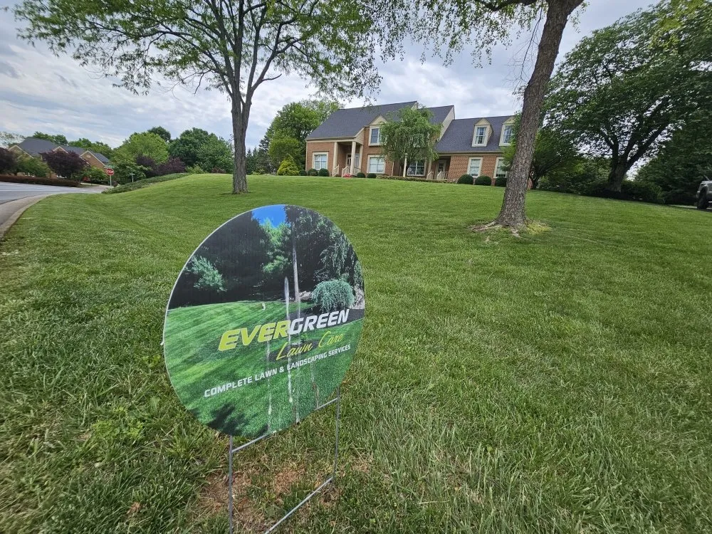 Expert yard cleanup service for homes in Winchester, VA by Evergreen Lawncare Services