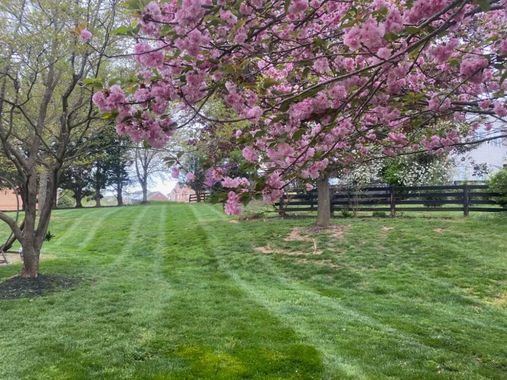Custom lawn mowing service in Winchester, VA by Evergreen Lawncare Services
