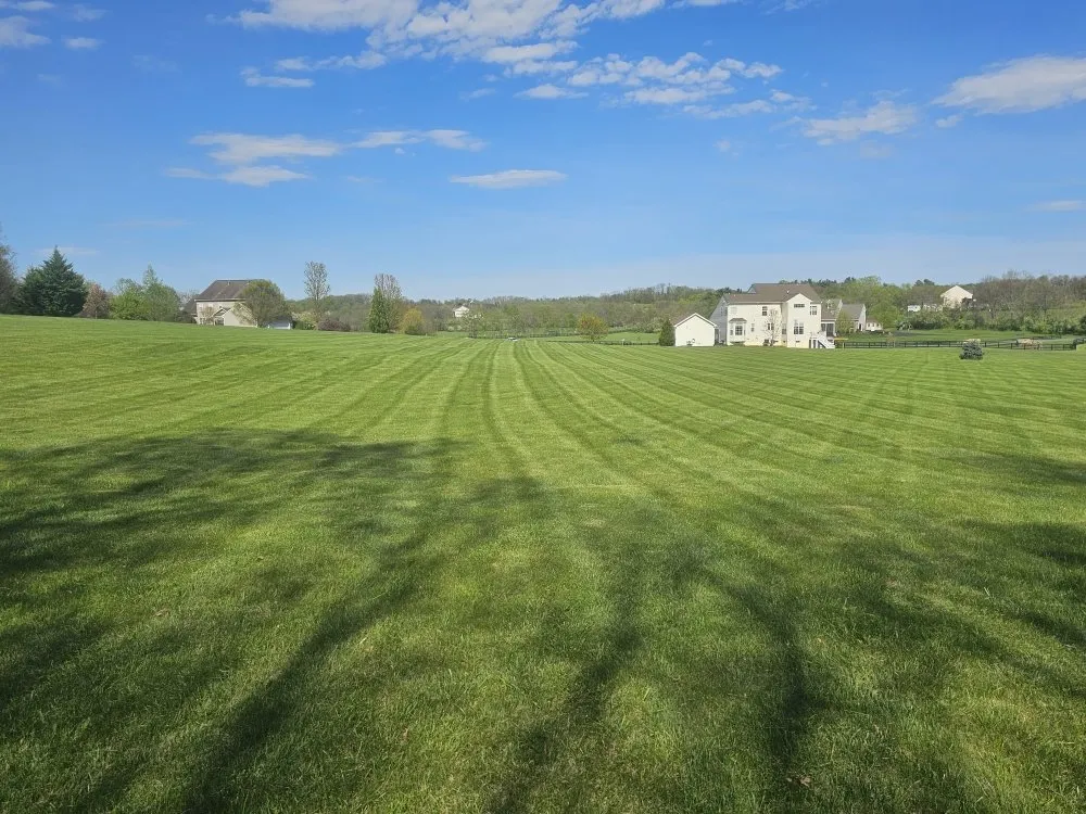 Trusted lawn mowing service experts serving Winchester, VA - Evergreen Lawncare Services