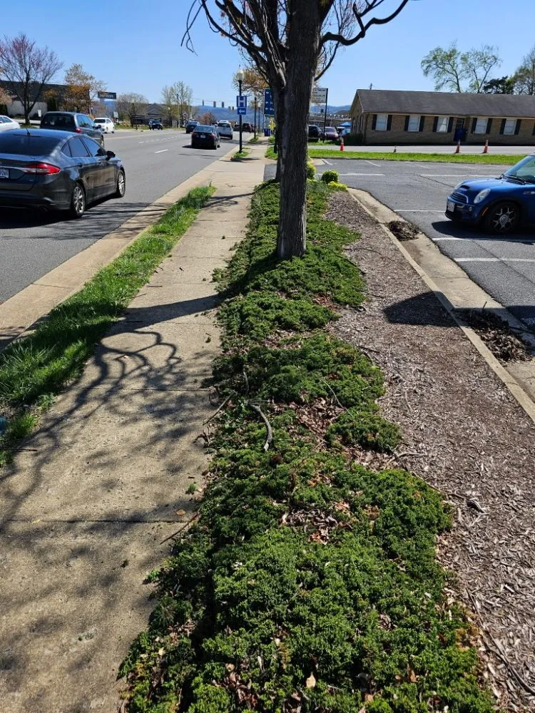 Local landscape design in Winchester, VA - Evergreen Lawncare Services