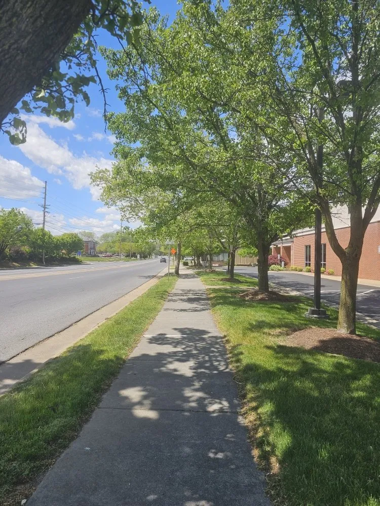 Reliable landscaping services in Winchester, VA - Evergreen Lawncare Services