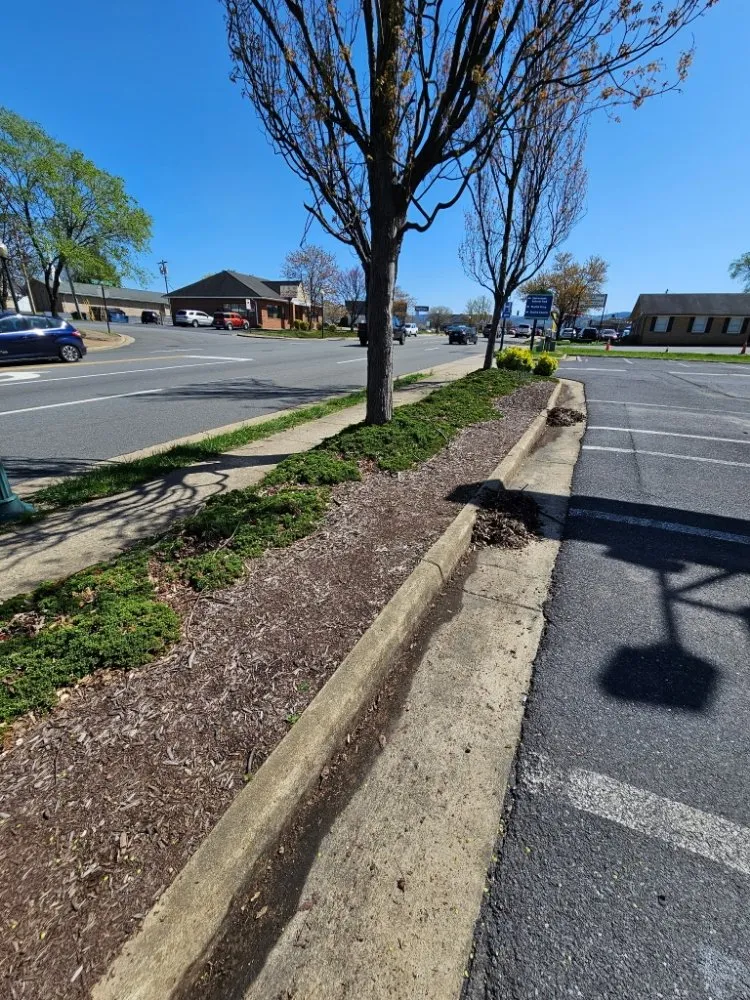 Local yard cleanup service in Winchester, VA by Evergreen Lawncare Services