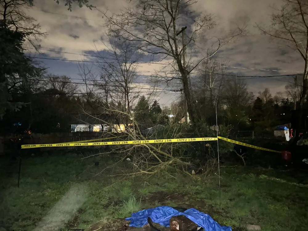 Professional yard cleanup service for homes across Seattle, WA - Evergreen Life Landscape Construction