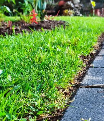 Trusted landscape installation in Schenectady, NY - Evergreen Mowing