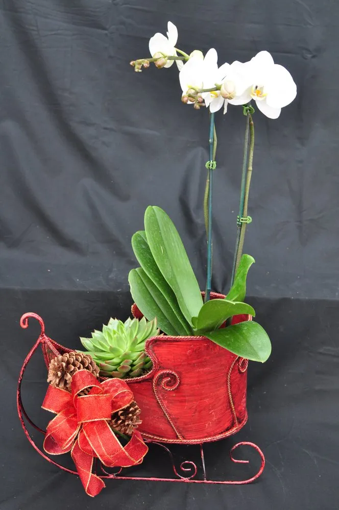 Professional lawn care service for residential properties in Katonah, NY by Evergreen Nurseries & Florist