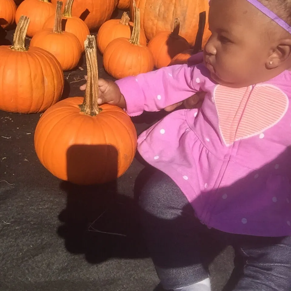 Local outdoor landscaping in Katonah, NY - Evergreen Nurseries & Florist