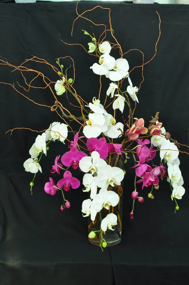 Affordable outdoor landscaping in Katonah, NY by Evergreen Nurseries & Florist