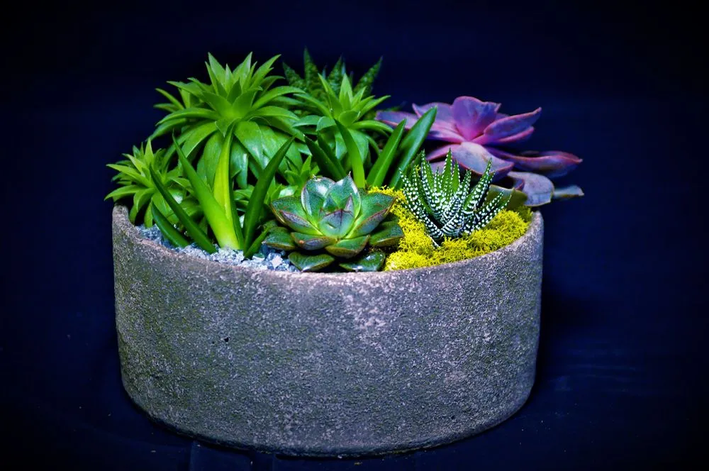 Custom yard maintenance for residential properties in Katonah, NY by Evergreen Nurseries & Florist