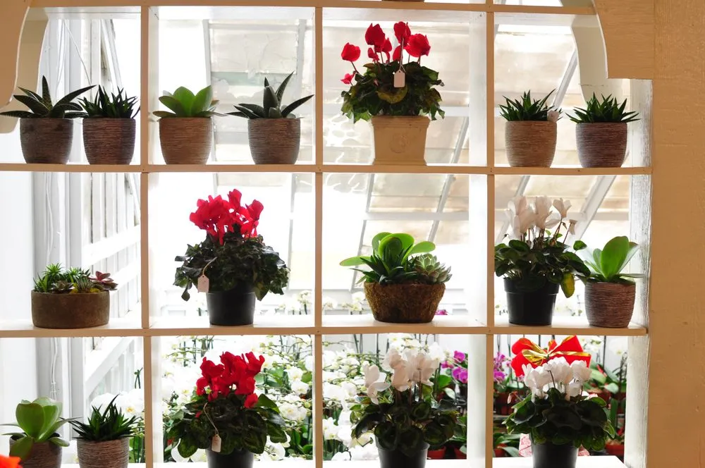 Local outdoor landscaping in Katonah, NY by Evergreen Nurseries & Florist