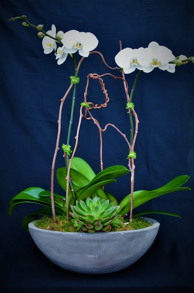 Top-rated lawn care service for year-round maintenance across Katonah, NY - Evergreen Nurseries & Florist