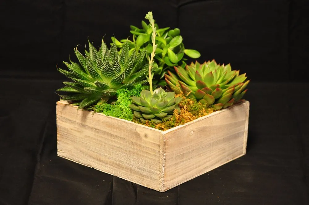 Local landscape design in Katonah, NY - Evergreen Nurseries & Florist