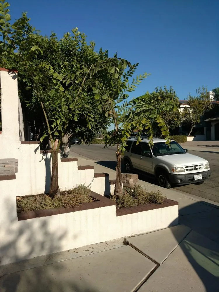Professional landscape design experts serving Avocado Heights, CA - Evergreen Nursery