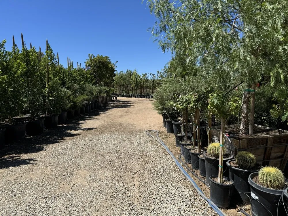 Reliable landscape installation for beautiful yards across Palmdale, CA - Evergreen Nursery