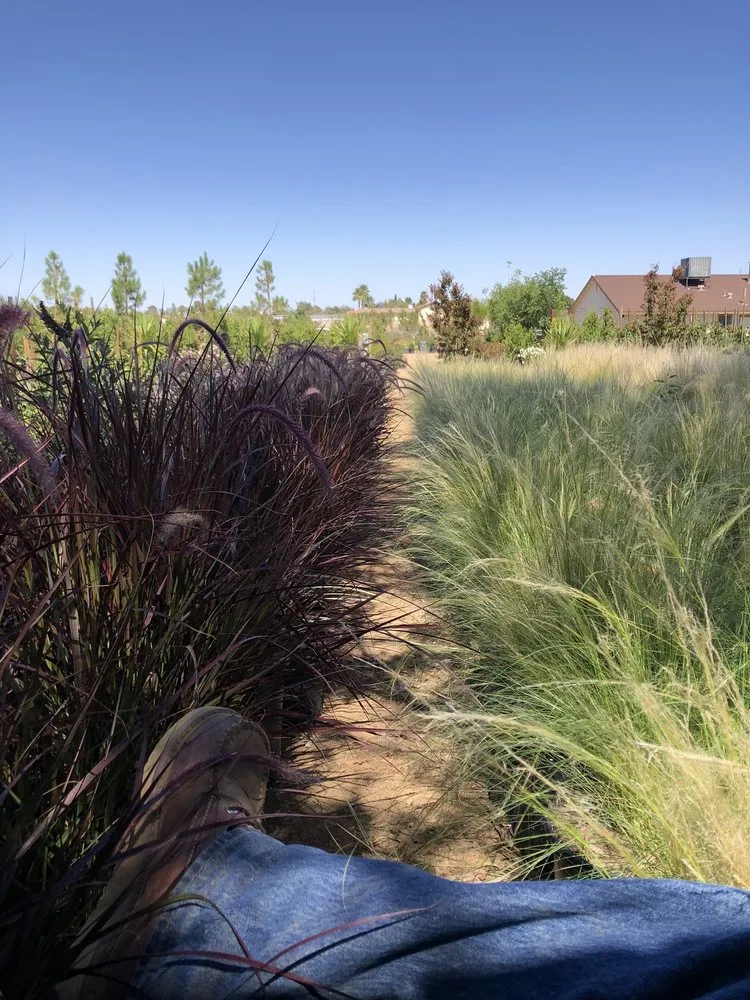 Professional landscaping services for homes in Palmdale, CA by Evergreen Nursery