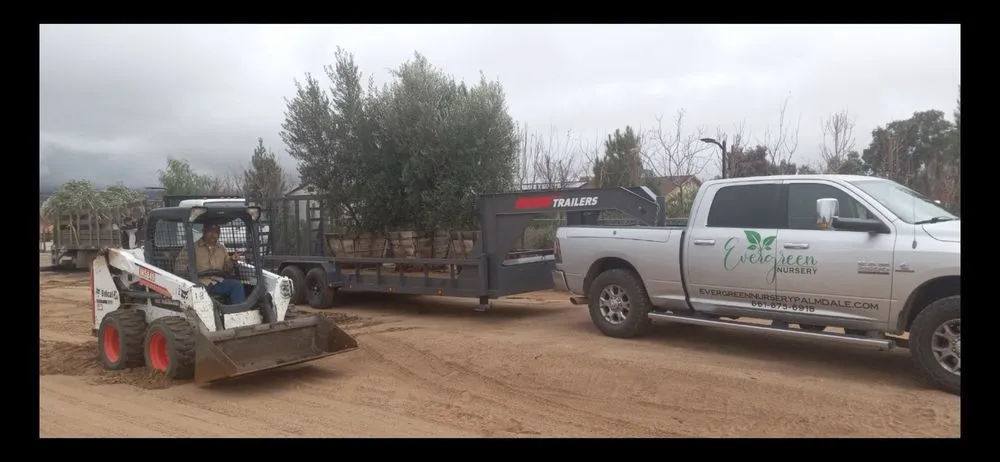 Reliable residential landscaping for outdoor upgrades in Palmdale, CA by Evergreen Nursery