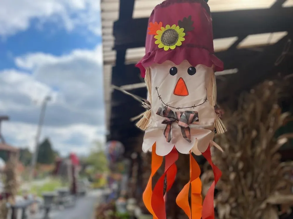 Top-rated outdoor landscaping for homes in Johnson City, TN by Evergreen of Johnson City