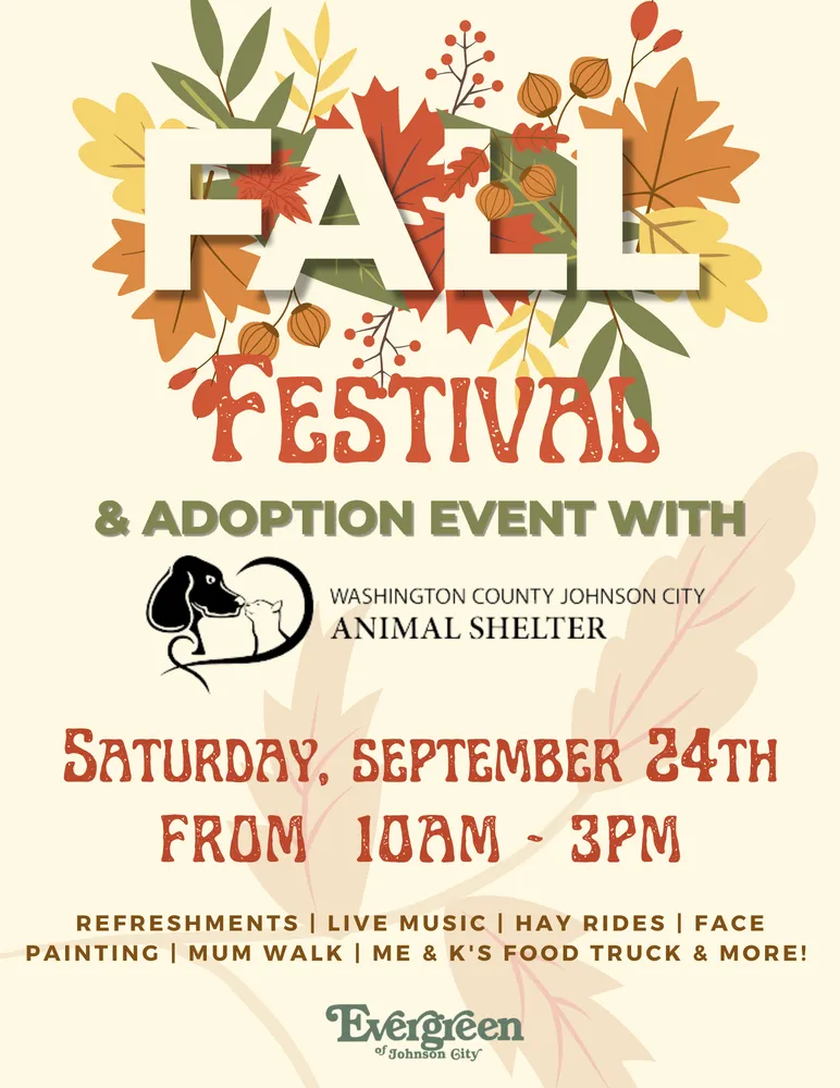 Trusted landscaping services experts serving Johnson City, TN - Evergreen of Johnson City