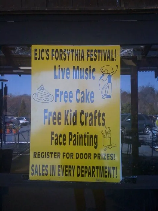 Local outdoor landscaping experts serving Johnson City, TN - Evergreen of Johnson City