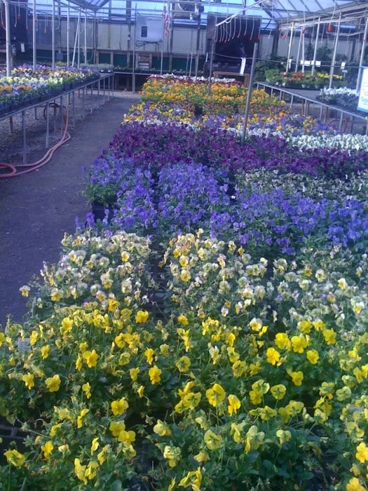 Expert garden landscaping in Johnson City, TN by Evergreen of Johnson City