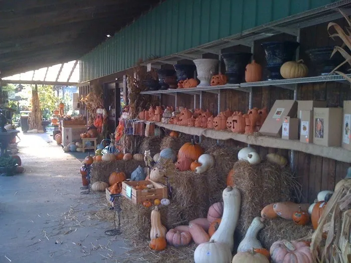 Expert residential landscaping in Johnson City, TN - Evergreen of Johnson City