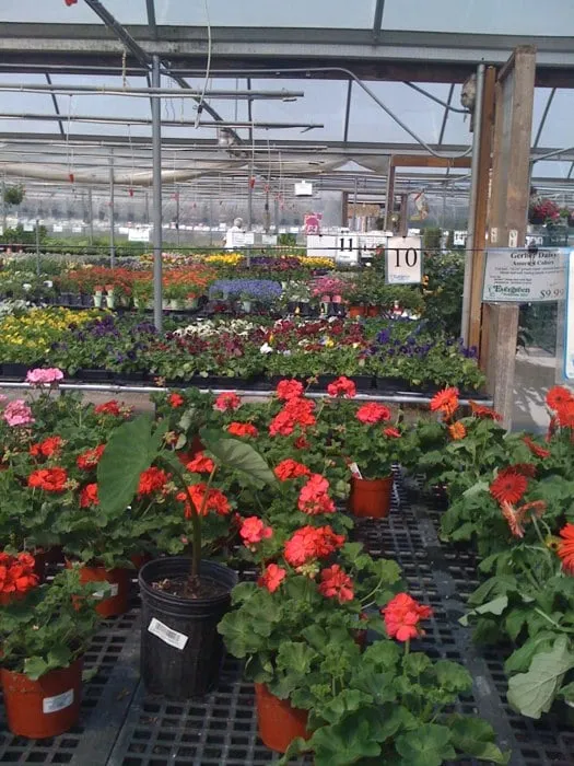 Custom garden landscaping experts serving Johnson City, TN - Evergreen of Johnson City